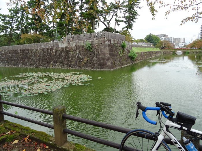 DSC06947.jpg