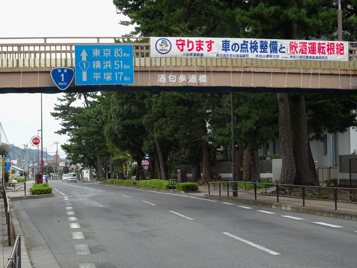 DSC06951.jpg