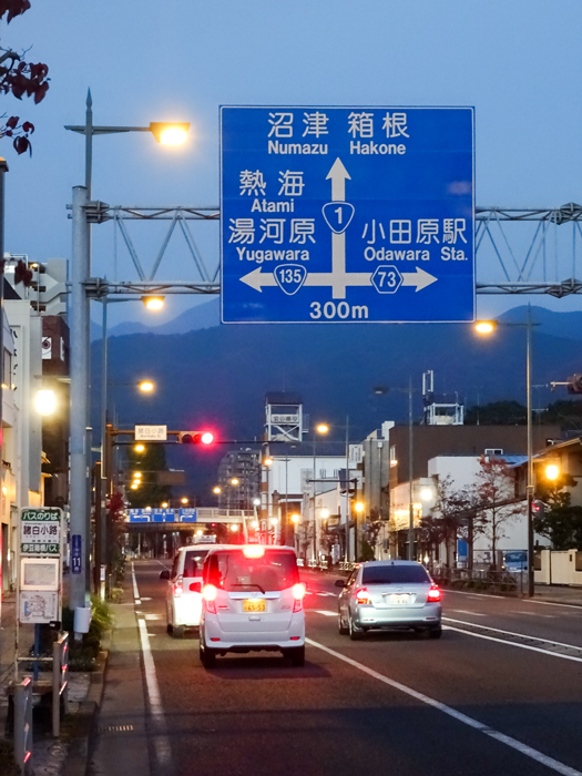 DSC07293.jpg