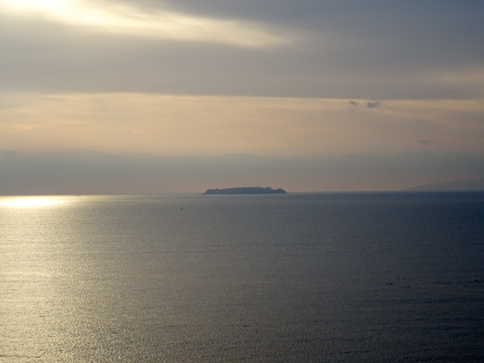 DSC07337.jpg
