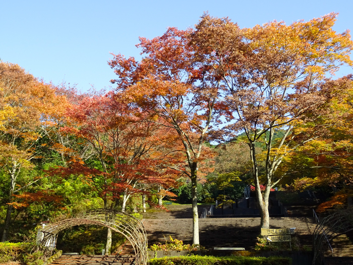 DSC07383.jpg
