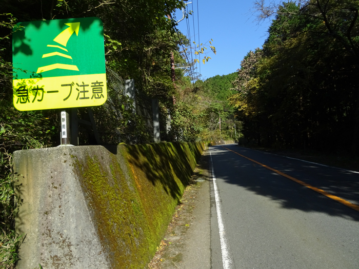 DSC07394.jpg