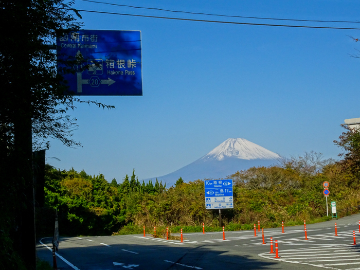 DSC07398.jpg