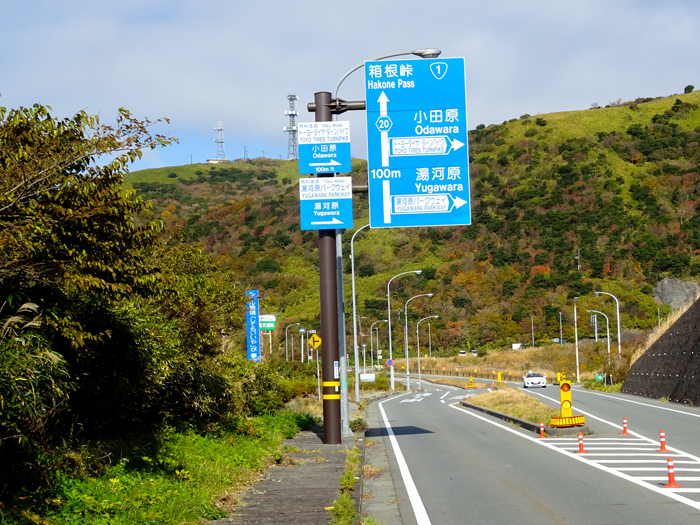 DSC07451.jpg