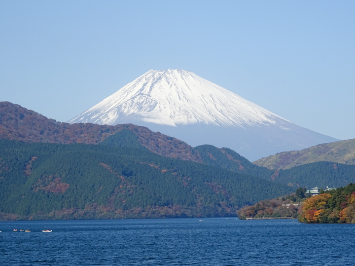 DSC07492.jpg