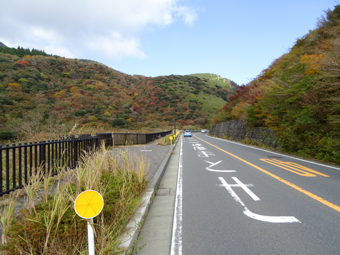 DSC07526.jpg