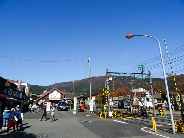 DSC07536.jpg