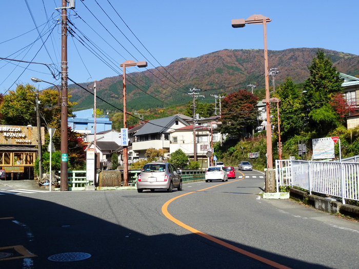 DSC07539.jpg