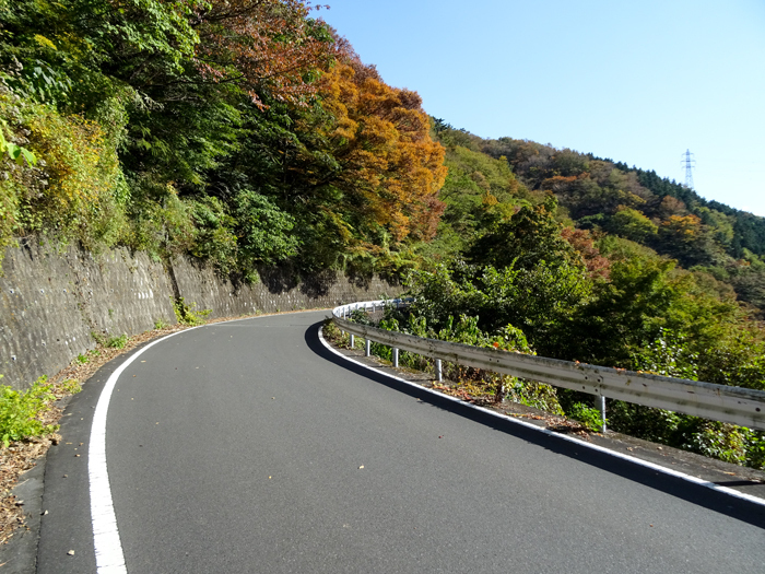 DSC07561.jpg