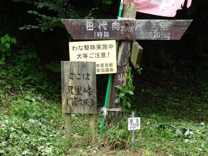 DSC07688.jpg