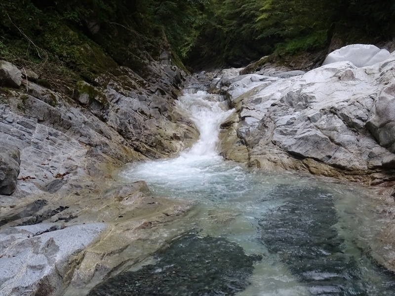 DSC08688_R.JPG