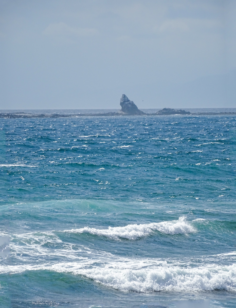 DSC09695.jpg