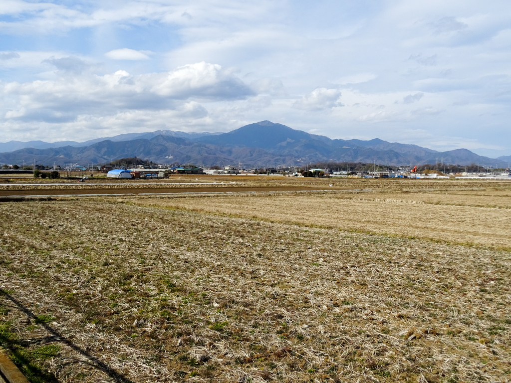 DSC09725.jpg
