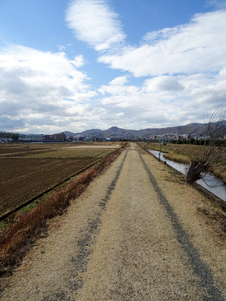 DSC09753.jpg