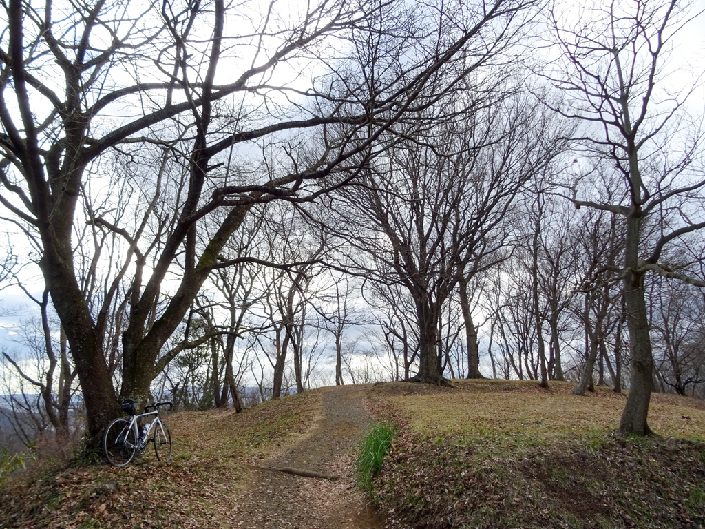 DSC09792.jpg