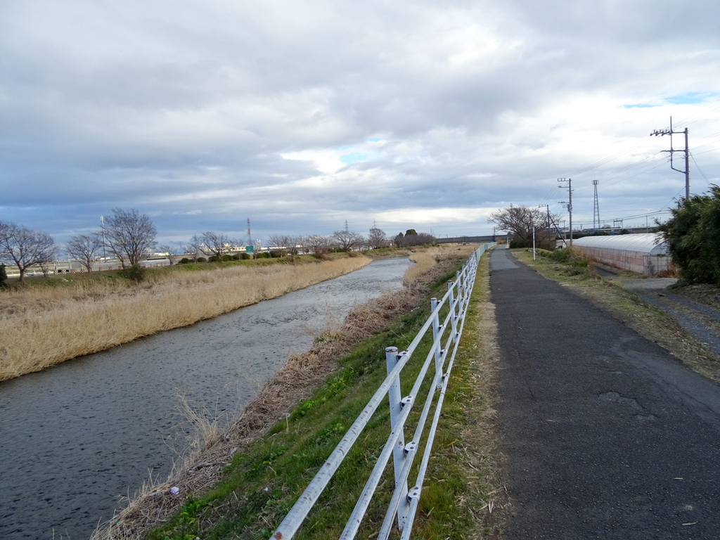 DSC09826.jpg