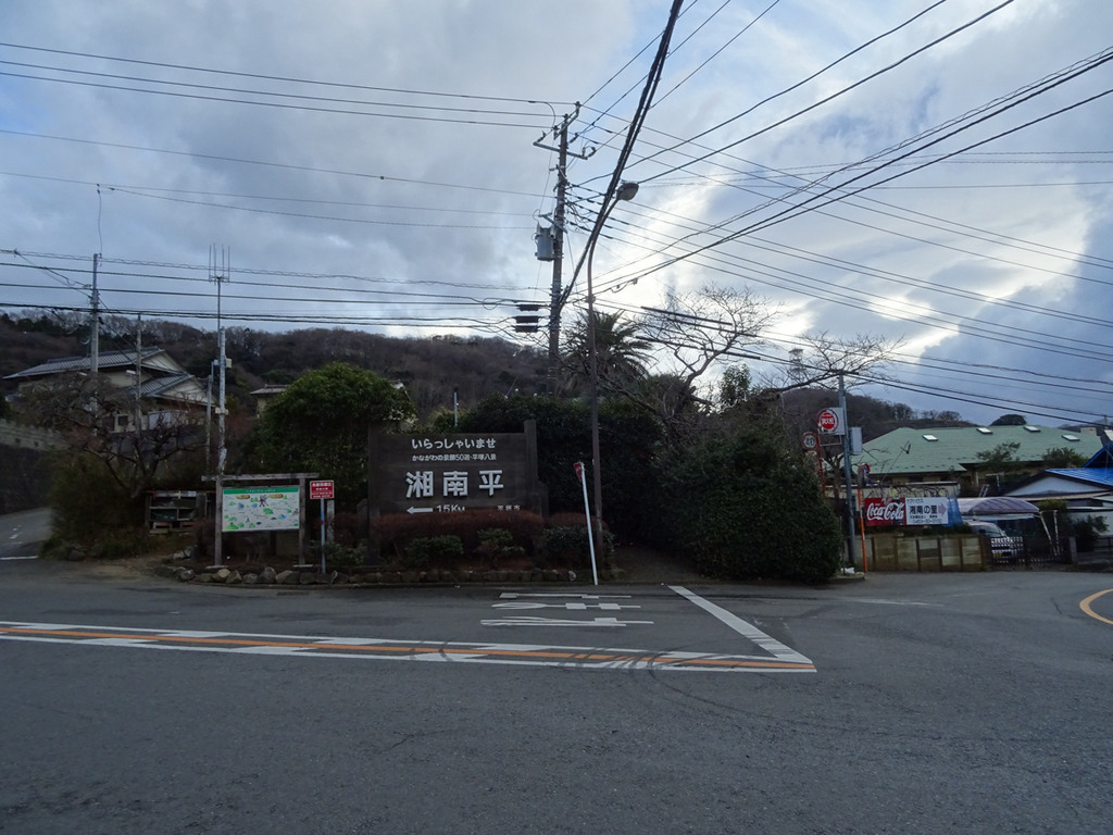 DSC09835.jpg