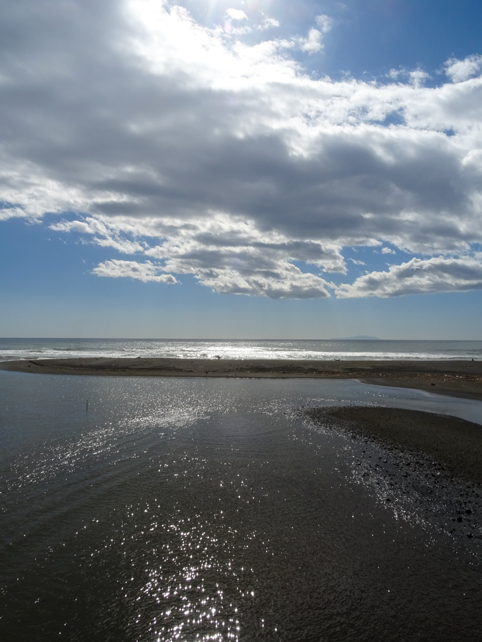 DSC09900.jpg