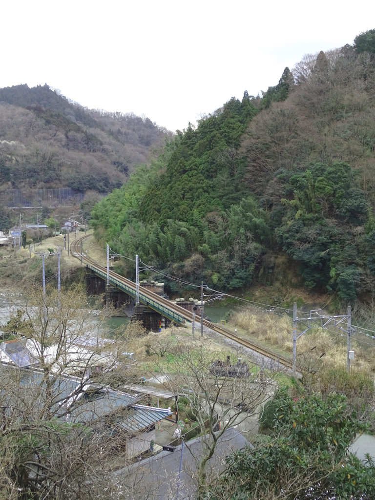 DSC09957.jpg