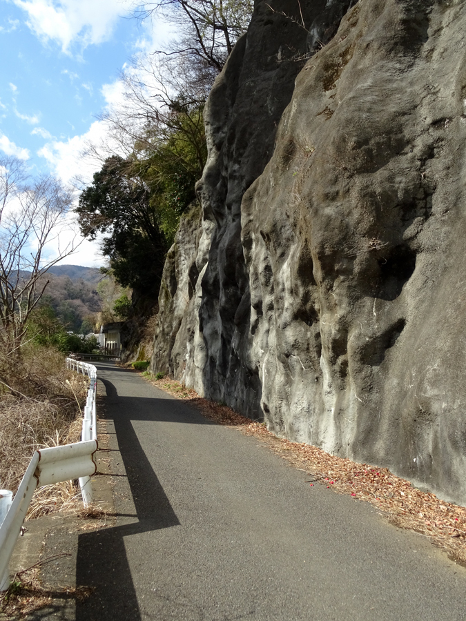 DSC09967.jpg