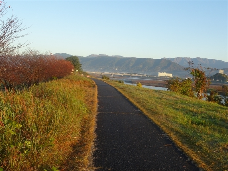DSC161120明神峠～山中湖0008.JPG