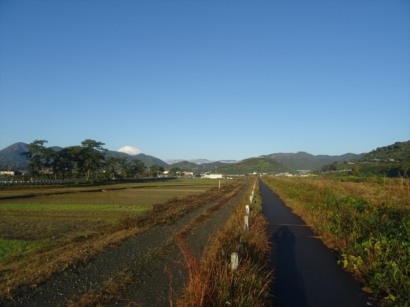 DSC161120明神峠～山中湖0009.JPG