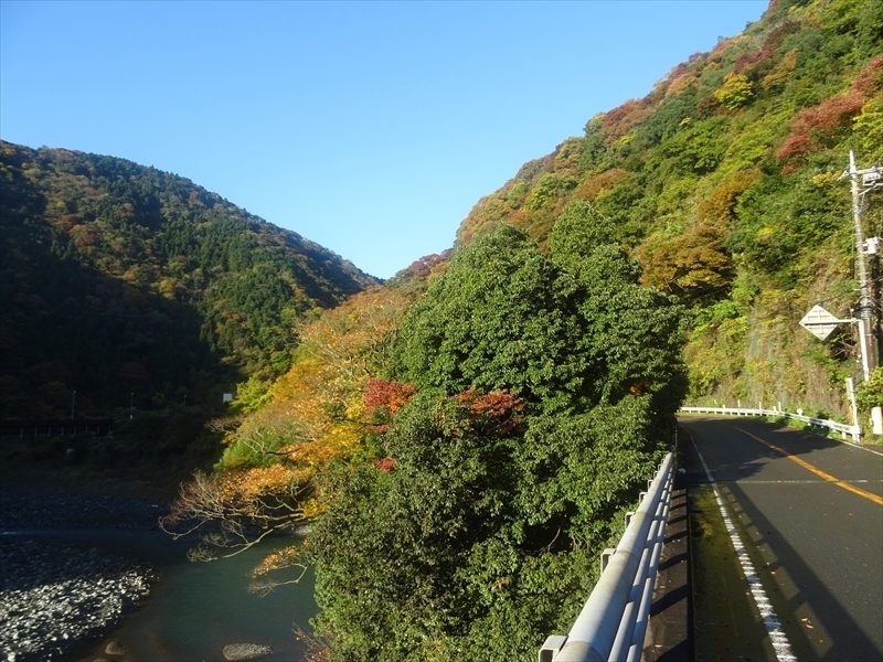 DSC161120明神峠～山中湖0011.JPG