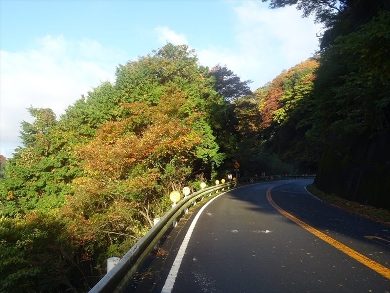 DSC161120明神峠～山中湖0012.JPG