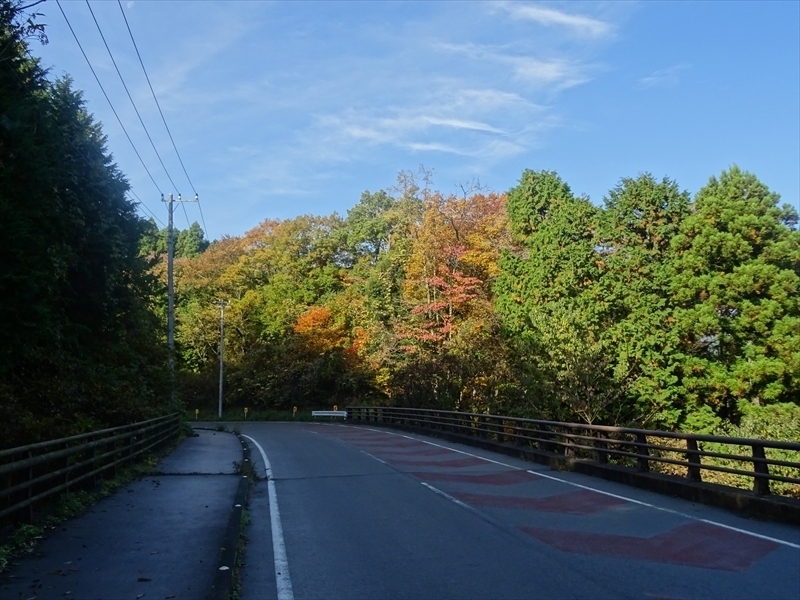 DSC161120明神峠～山中湖0019.JPG