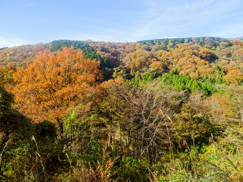 DSC161120明神峠～山中湖0025.jpg