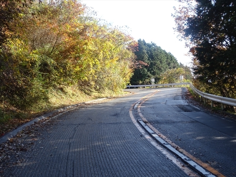 DSC161120明神峠～山中湖0027.JPG