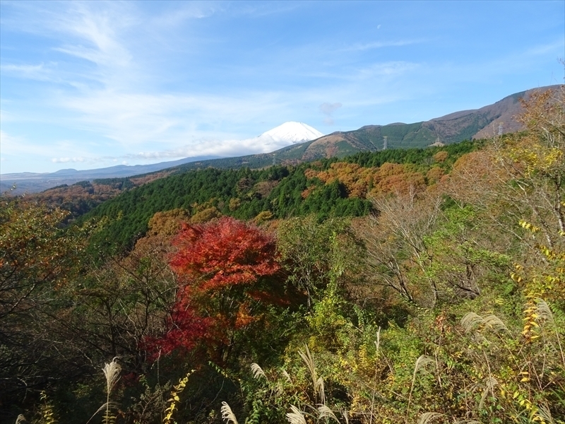 DSC161120明神峠～山中湖0029.JPG