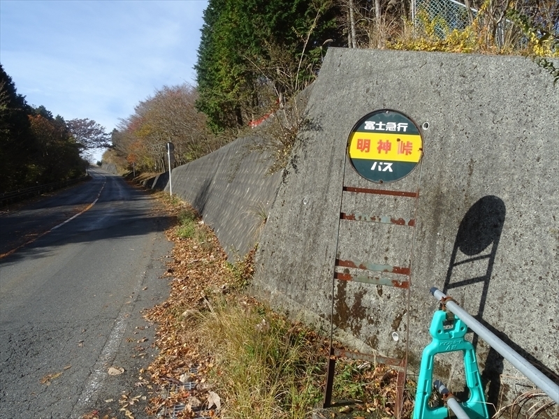 DSC161120明神峠～山中湖0033.JPG