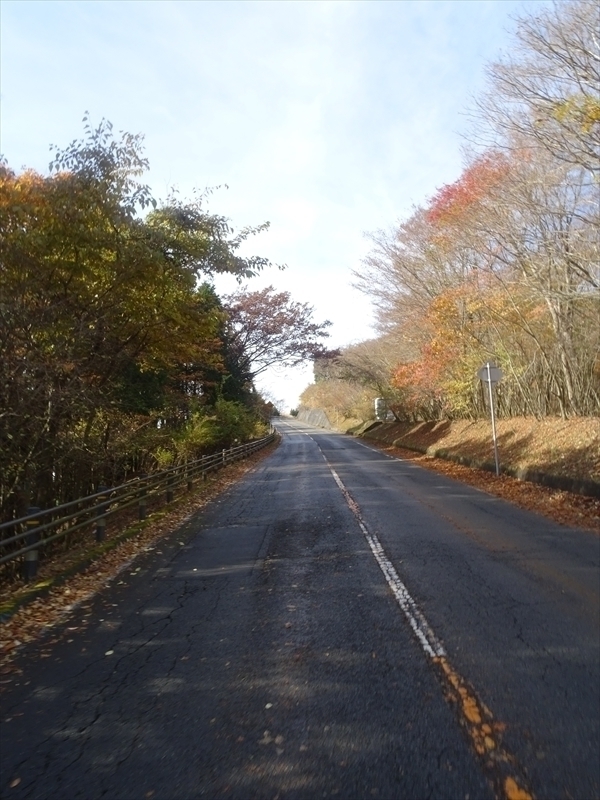 DSC161120明神峠～山中湖0034.JPG