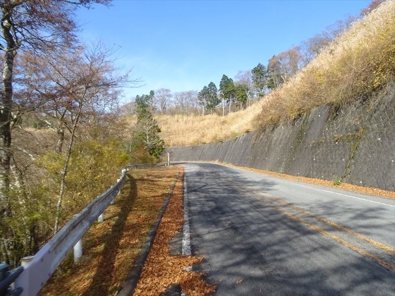 DSC161120明神峠～山中湖0035.JPG