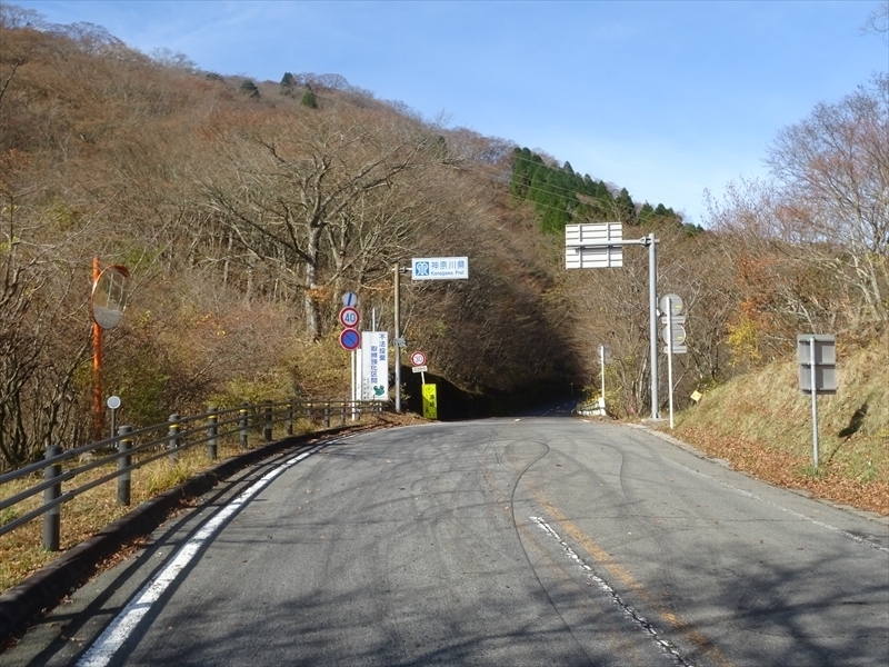 DSC161120明神峠～山中湖0036.JPG