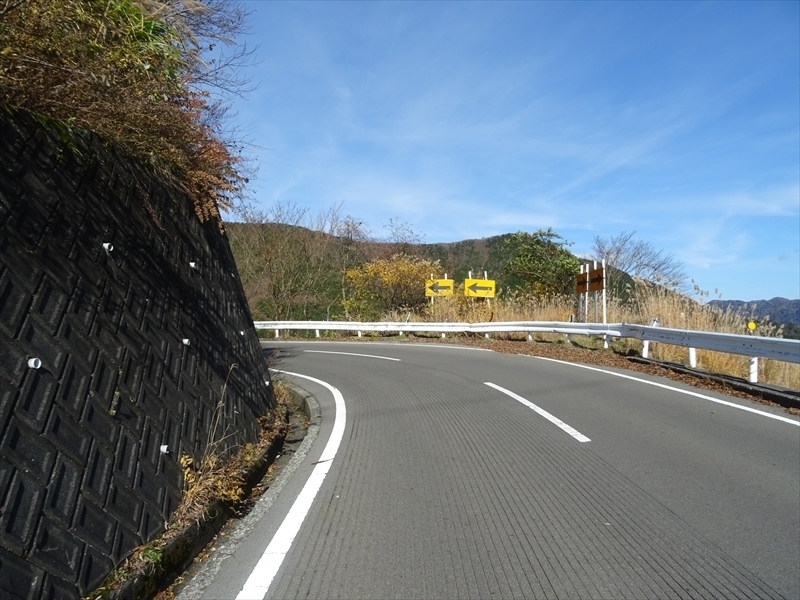 DSC161120明神峠～山中湖0039.JPG