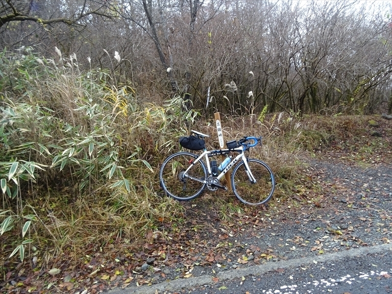 DSC161120明神峠～山中湖0041.JPG
