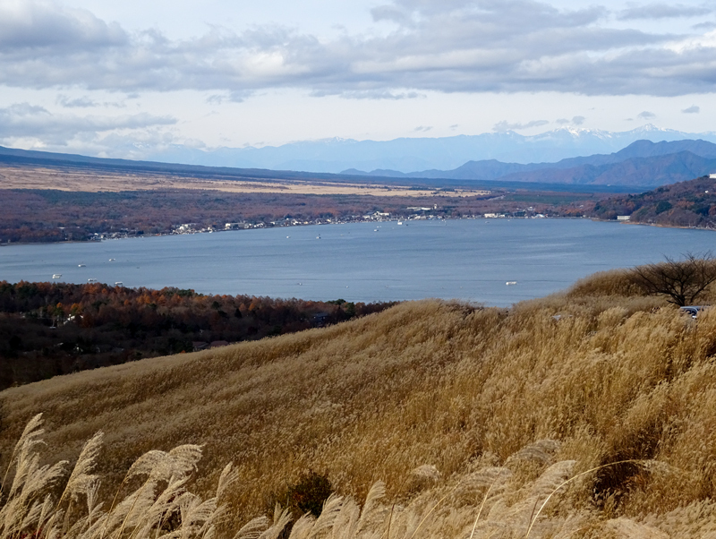 DSC161120明神峠～山中湖0043.jpg