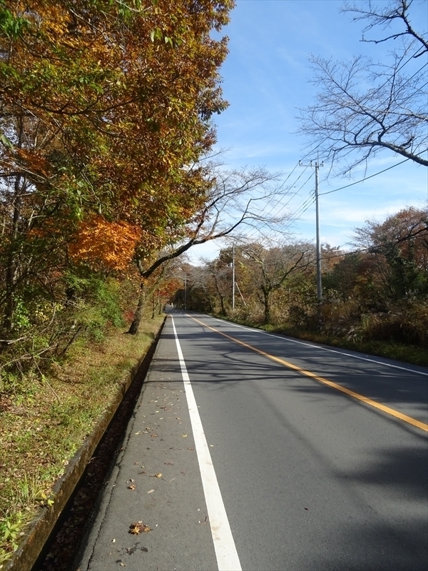 DSC161120明神峠～山中湖0051.JPG