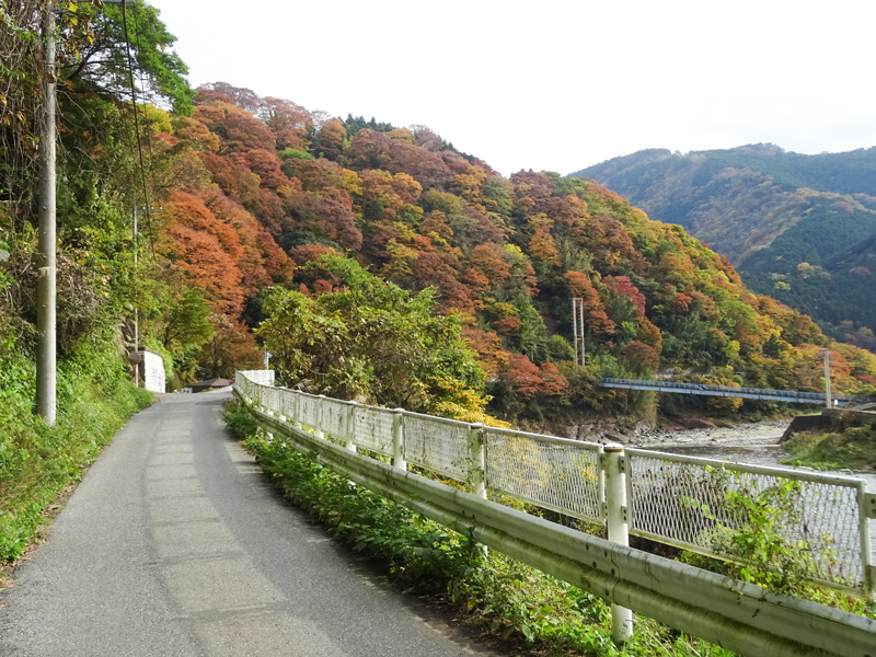 DSC161120明神峠～山中湖0056.jpg