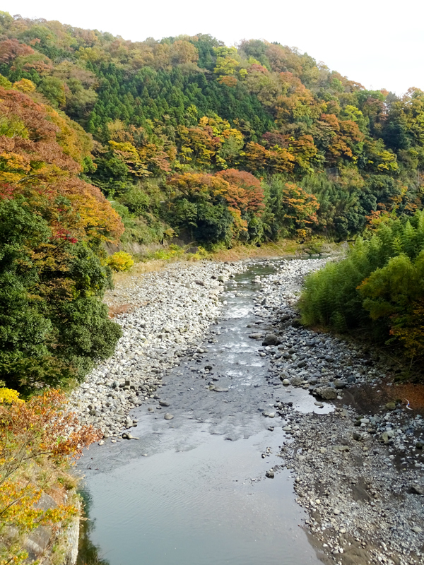 DSC161120明神峠～山中湖0057.jpg