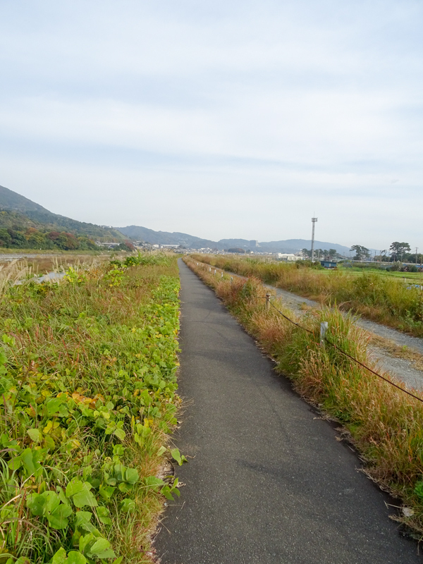DSC161120明神峠～山中湖0060.jpg