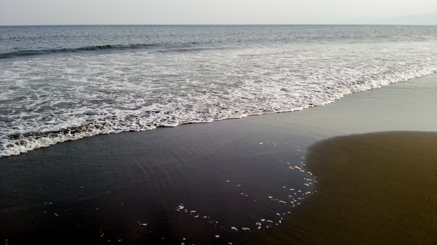 DSC_0216.jpg