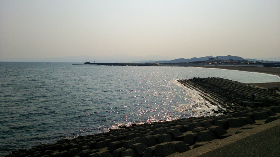 DSC_0231.jpg