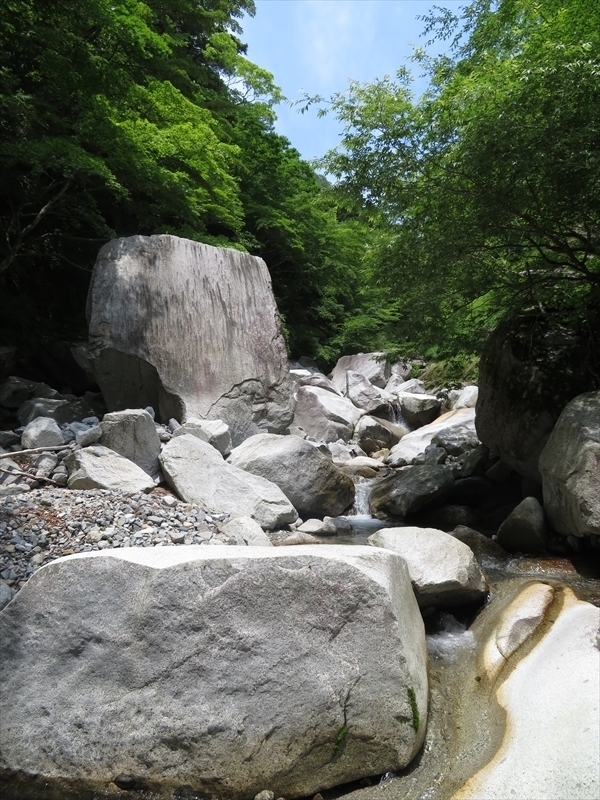 檜洞沢他so-net036.JPG
