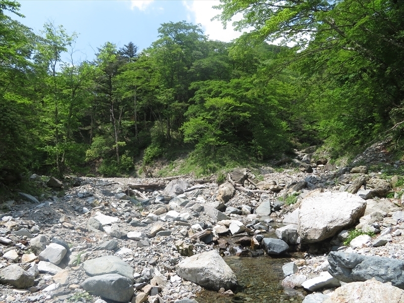 檜洞沢他so-net050.JPG