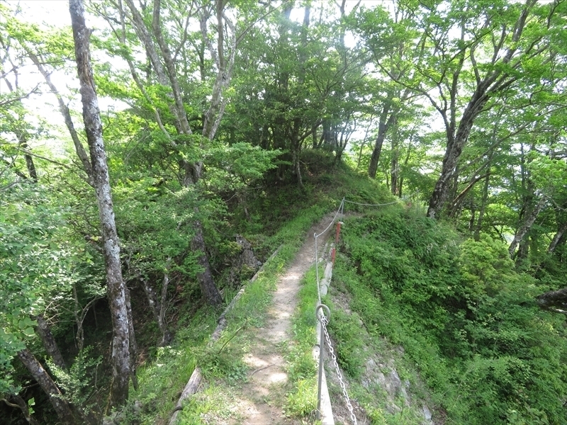 檜洞沢他so-net061.JPG
