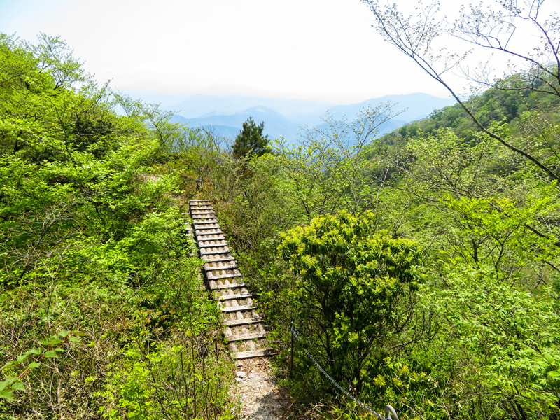 遺言棚so-net041-1.jpg
