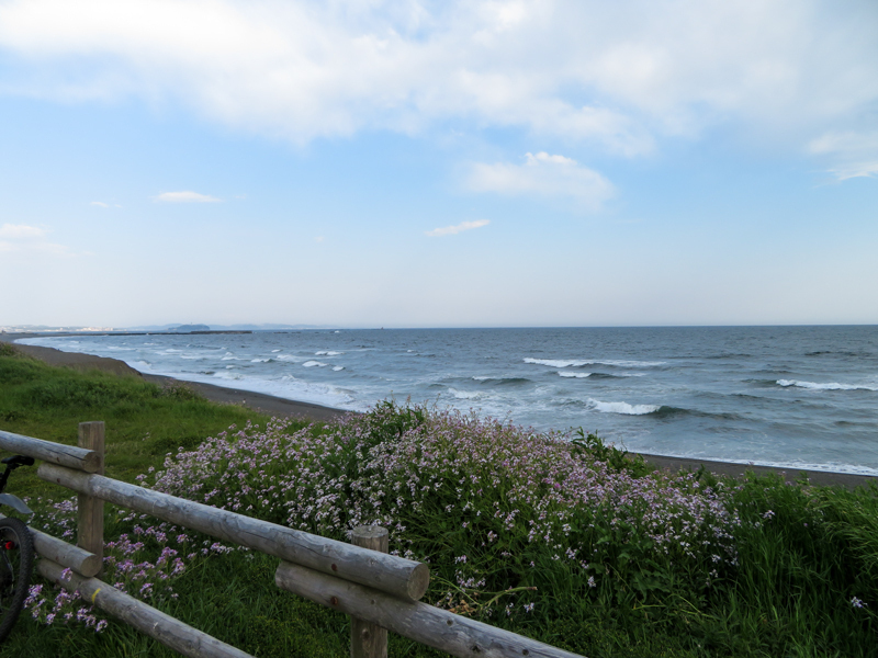 IMG_0422.jpg
